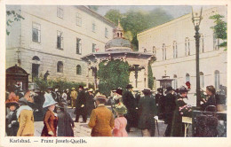 Karlsbad (Karlovy Vary) - Franz Josefs-Quelle - Bohemen En Moravië