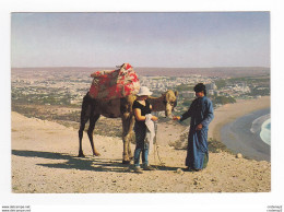 Maroc AGADIR N°713 Vue Générale En 1986 Chameau Ou Dromadaire - Agadir