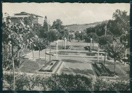 Siena Chianciano Terme Foto FG Cartolina KB3976 - Siena