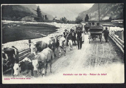 Heimkehr Von Der Alp - Belebt – Animée - 1905 - Autres & Non Classés