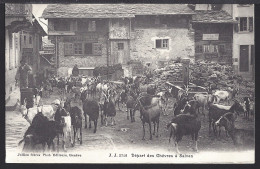 Départ De Chèvres à Salvan - 1907  - Autres & Non Classés