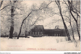 AAKP2-54-0112 - LUNEVILLE -  Le Château - Vu Des Bosquets - Luneville