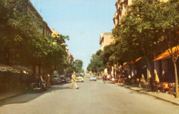 Algérie- SÉTIF-Avenue Georges Clémenceau 1961- Animation Commerces *TBE 2 Scans - Sétif