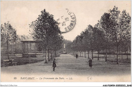 AAKP10-54-0850 - BACCARAT - La Promenade Du Patis - Baccarat
