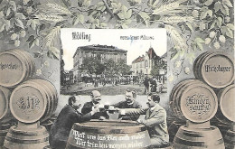 1905/15 - MODLING , Gute Zustand, 2 Scan - Mödling