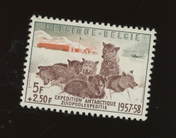 1957 ++ 1030 **. Chiens Abtartique - Unused Stamps