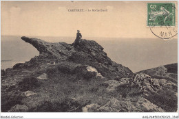 AAQP6-50-0459 - CARTERET - La Roche Biard - Carteret