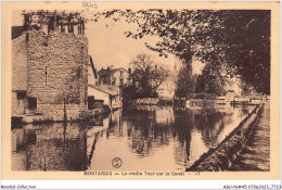 ABUP6-45-0498  -  MONTARGIS - La Vieille Tour Sur Le Canal  - Montargis