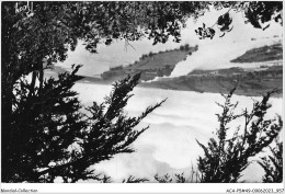 ACAP5-49-0482 - CHAMPTOCEAUX - Paysage Sur Les Iles De La Loire Pris Du Champ-Palud - Champtoceaux