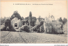 ACAP5-49-0474 - CHAMPTOCEAUX - Les Ruines Du Prieuré Et Le Chateau  - Champtoceaux