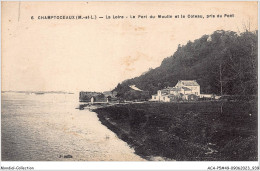 ACAP5-49-0473 - CHAMPTOCEAUX - La Loire - Le Port Du Moulin Et  Le Coteau ,Pris Du Pont   - Champtoceaux