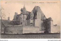 ABUP11-45-1059 - Environs De JARGEAU - Chateau De La Queuvre - Jargeau