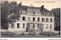 ABUP9-45-0844 - BRIARE  - Chateau De Beauval - Briare