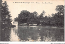 ABUP10-45-0987 - Environs De BEAUGENCY - Travers - Les Eaux Bleues - Beaugency