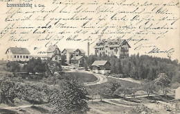 1905 - LASNITZHOHE , Gute Zustand, 2 Scan - Lassnitzhöne