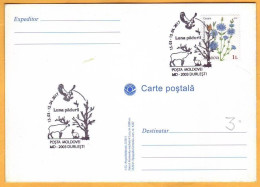 2017 Moldova Moldavie Special Postal Cancellation. "Month Of The Forest". Elk, Hare, Butterflies, Flowers, Birds. - Moldavië