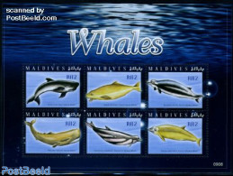 Maldives 2009 Whales 6v M/s, Mint NH, Nature - Sea Mammals - Maldiven (1965-...)