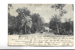 CPA SEVILLA PARQUE DE MARIE LOUISA  En 1905! (voir Timbre) - Sevilla