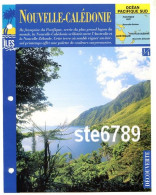 ILE NOUVELLE CALEDONIE  1/4 Série Iles Océan Pacifique Sud Géographie  Découverte Fiche Dépliante - Géographie