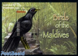 Maldives 2010 Birds Of The Maldives S/s, Mint NH, Nature - Birds - Maldiven (1965-...)