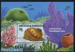 Antigua & Barbuda 1986 Shells S/s, Mint NH, Nature - Shells & Crustaceans - Marine Life