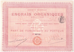 ACTION  ENGRAIS ORGANIQUES  Part De Fondateur  Juin 1907 Agriculture Clermont Oise - Agriculture