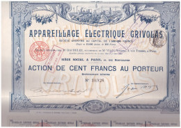 ACTION  GRIVOLAS Appareillage électrique 100 Francs Au Porteur  Mars 1896    EDF Electricité - Elektriciteit En Gas