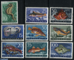 Yugoslavia 1956 Adriatic Sea Animals 9v, Mint NH, Nature - Fish - Shells & Crustaceans - Unused Stamps