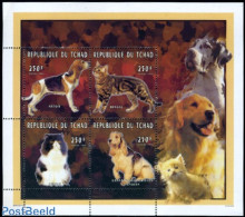 Chad 1996 Dogs & Cats 4v M/s, Mint NH, Nature - Cats - Dogs - Otros & Sin Clasificación
