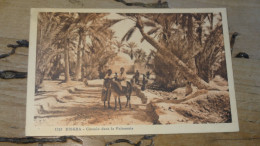 BISKRA, Chemin Dans La Palmeraie ................ BF-18561 - Biskra