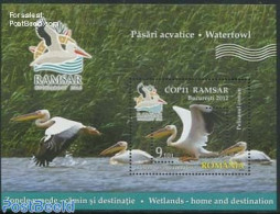 Romania 2012 Waterbirds RAMSAR S/s, Mint NH, Nature - Birds - Unused Stamps