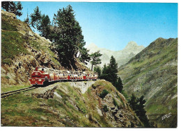 LE TRAIN DU LAC.- ARTOUSTE.-  ( FRANCIA ) - Laruns