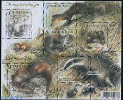 Belgium 2008 Martens 5v M/s, Mint NH, Nature - Animals (others & Mixed) - Unused Stamps