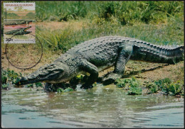 Burundi 1977 Y&T PA 454 Sur Carte Maximum. Crocodylus Niloticus, Crocodile Du Nil Qui Va Prendre Son Bain - Other & Unclassified