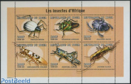 Niger 2000 Insects 6v M/s, Mint NH, Nature - Insects - Níger (1960-...)