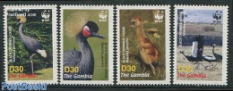 Gambia 2006 WWF, Birds 4v, Mint NH, Nature - Birds - World Wildlife Fund (WWF) - Gambia (...-1964)
