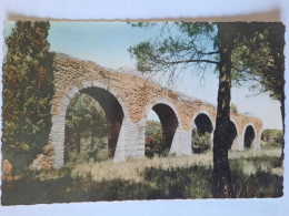 Cp 14x9 , L'aqueduc Romain De Fréjus , Vierge ! - Frejus