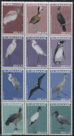 Suriname, Republic 2016 Birds 12v Sheetlet, Mint NH, Nature - Birds - Penguins - Surinam