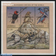Barbuda 1999 Endangered Species 6v M/s, Mint NH, Nature - Animals (others & Mixed) - Birds - Cat Family - Monkeys - Barbuda (...-1981)