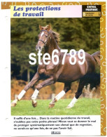 Cheval Horse Chevaux LES PROTECTIONS DE TRAVAIL Equipement Fiche Dépliante - Animali
