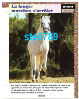 Cheval LA LONGE MARCHER S'ARRETER   Horse Chevaux Education Cheval Travail A Pied Fiche Dépliante - Animali