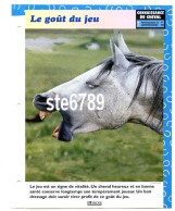 Cheval LE GOUT DU JEU  Horse Chevaux Connaissance Du Cheval Fiche Dépliante - Animaux