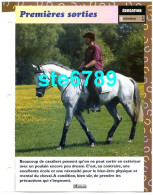 Cheval PREMIERES SORTIES Horse Chevaux Débourrage Fiche Dépliante - Animaux