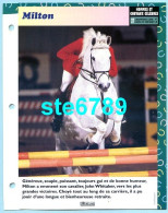 Cheval MILTON Horse Chevaux Célèbres Fiche Dépliante - Animaux