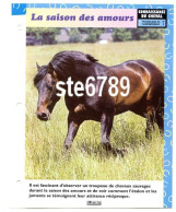 LA SAISON DES AMOURS   Cheval Horse Chevaux Connaissance Du Cheval Fiche Dépliante - Dieren