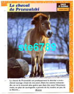 LE CHEVAL DE PRZEWALSKI  Cheval Horse Chevaux Fiche Dépliante - Dieren