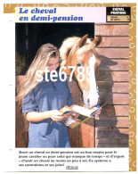 LE CHEVAL EN DEMI PENSION   Horse Chevaux Cheval Pratique Choisir Un Cheval Fiche Dépliante - Tiere