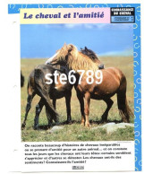 LE CHEVAL ET L'AMITIE  Horse Chevaux Connaissance Du Cheval Fiche Dépliante - Animals