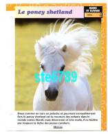 LE PONEY SHETLAND   Poney Cheval Horse Fiche Dépliante - Tiere