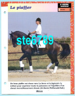 LE PIAFFER  Horse Chevaux A Cheval Cavalier Compétition Equitation Fiche Dépliante - Animali